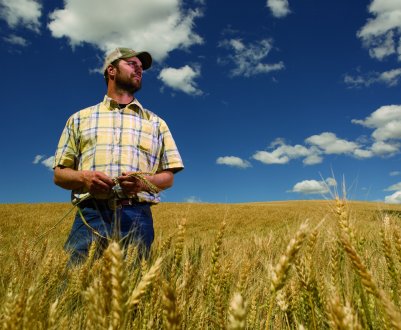 Американський Національний союз фермерів вважає, що потрібно допомогти усім фермерам