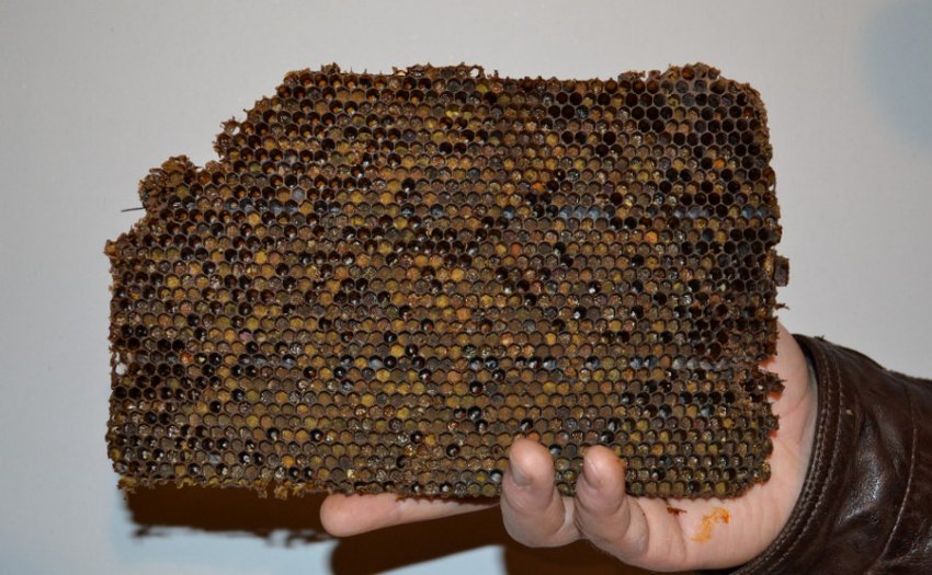 Рамка з пергою