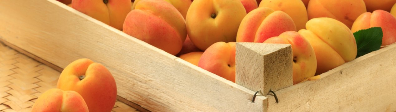 Черкаська область втратила 60% урожаю абрикосів