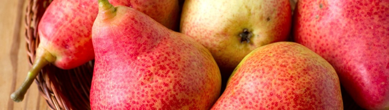 140 гектарів грушевого саду висадять селяни Черкаської області