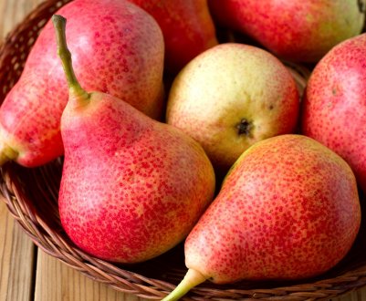 140 гектарів грушевого саду висадять селяни Черкаської області