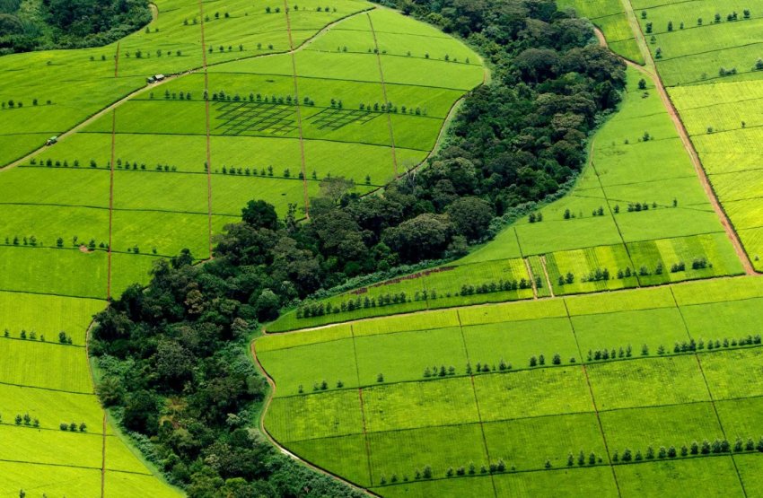 За українськими полями будуть стежити з супутників За українськими полями будуть стежити з супутників