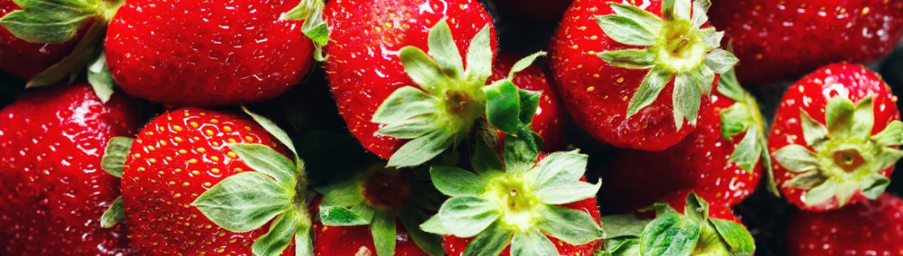 У Великобританії виробники полуниці з Саффолка і Ессекса готуються до напруженого сезону продажів