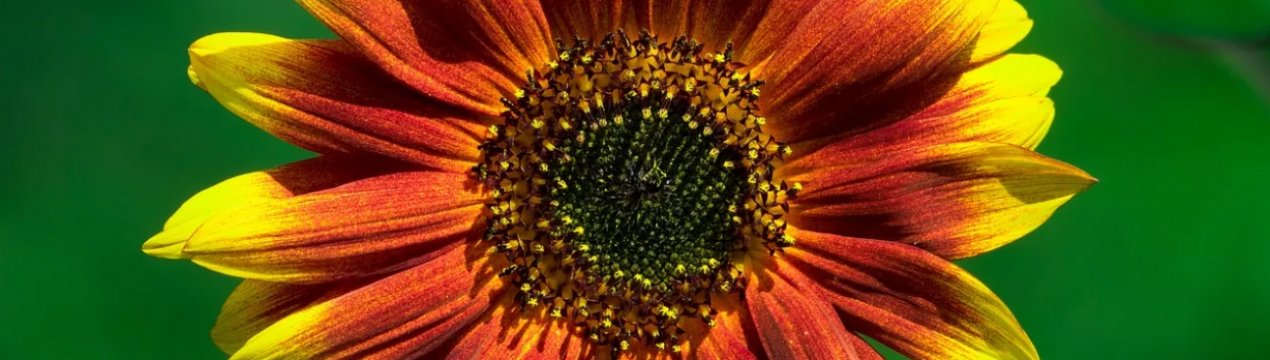 Аграрії Троїцького району Луганської області терплять збитки через зруйнованої дороги