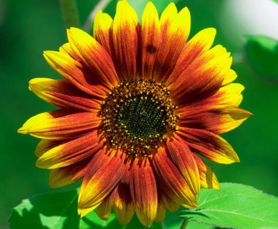 Аграрії Троїцького району Луганської області терплять збитки через зруйнованої дороги