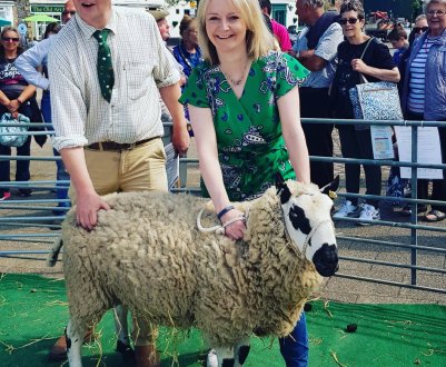 Ярмарок овець в англійській Суаффхеме