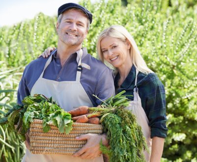 Після Brexit британські фермери зіткнуться із зростанням витрат 