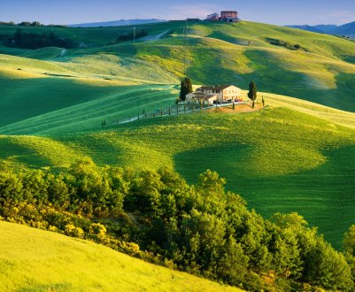 Ірландські аграрії висловляться політикам