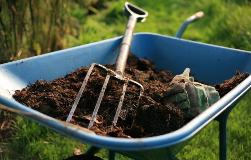 Добриво грунту Добриво грунту