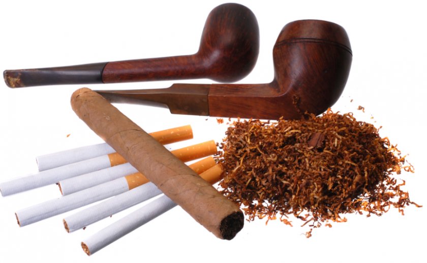 Какой курительный табак лучше выращивать для курения?