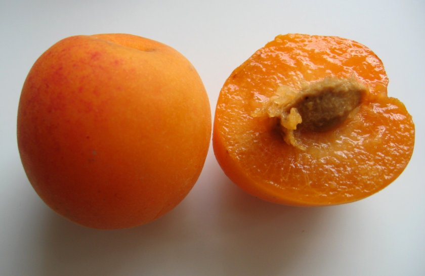 Самые необычные гибриды абрикоса, персика, сливы и яблока