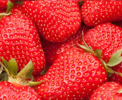 Сорти полуниці з рожевими (червоними) квітами