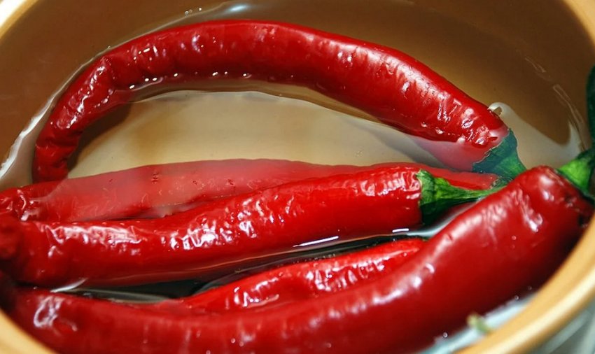 Засолювання гострого перцю