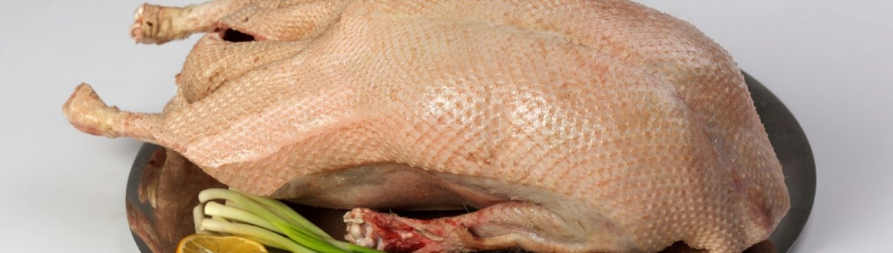 Гусяче м'ясо: користь і шкода