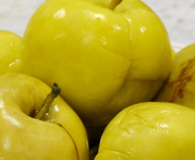 Як приготувати мочені яблука Антонівка