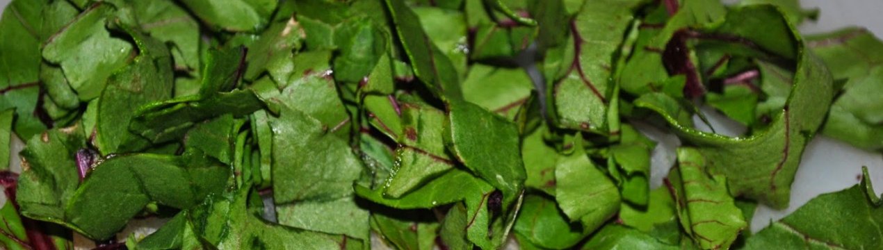 Бадилля буряка: види заготовок