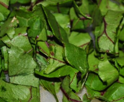 Бадилля буряка: види заготовок