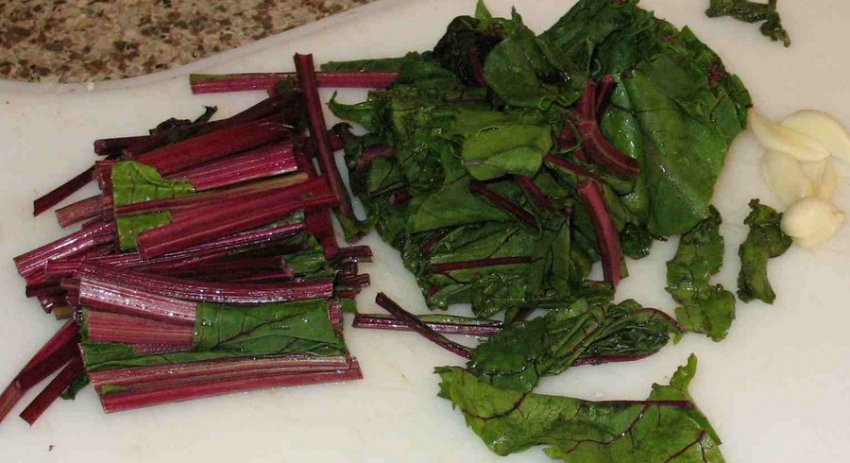 Бурякове бадилля