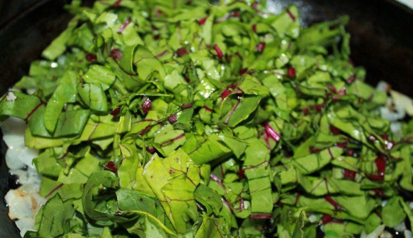 Бурякове бадилля