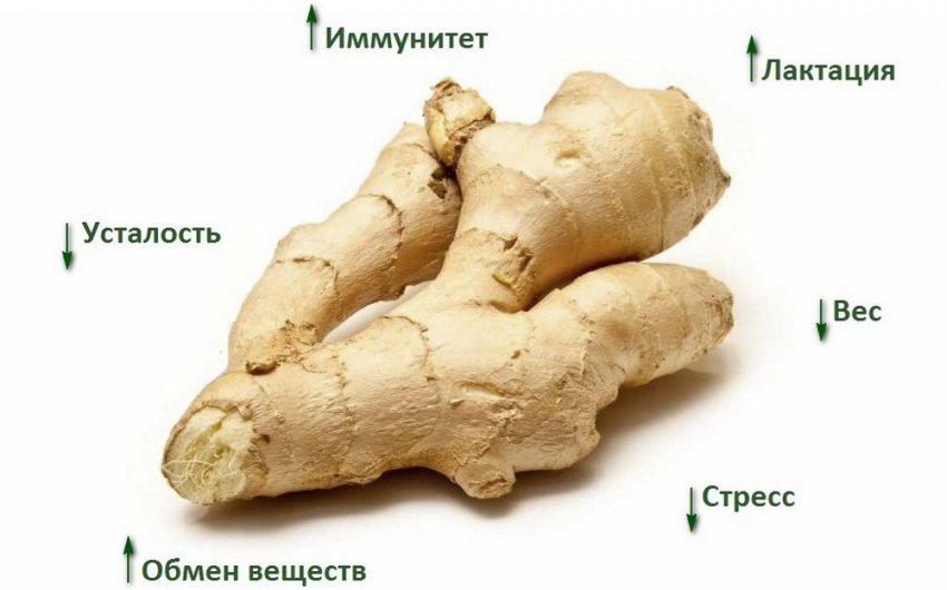 Користь імбиру Користь імбиру