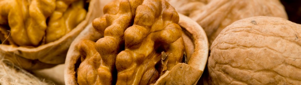 Черкаська область встановила рекорд з вирощування горіхів