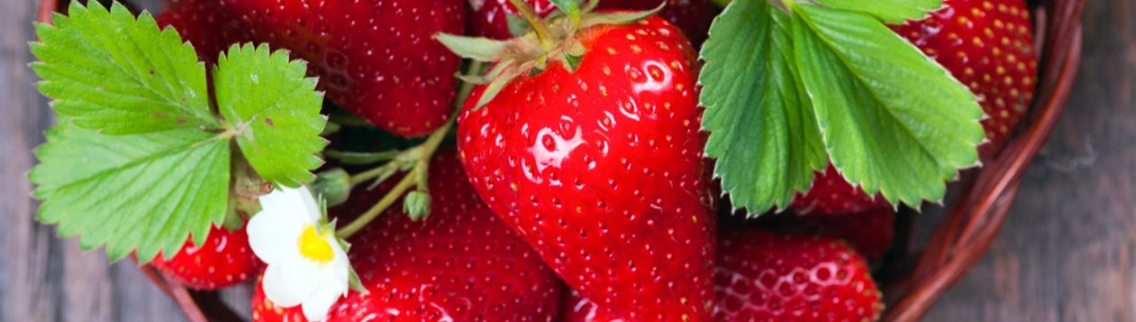 На українських ринках з'явилася місцева полуниця відкритого грунту