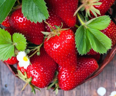 На українських ринках з'явилася місцева полуниця відкритого грунту