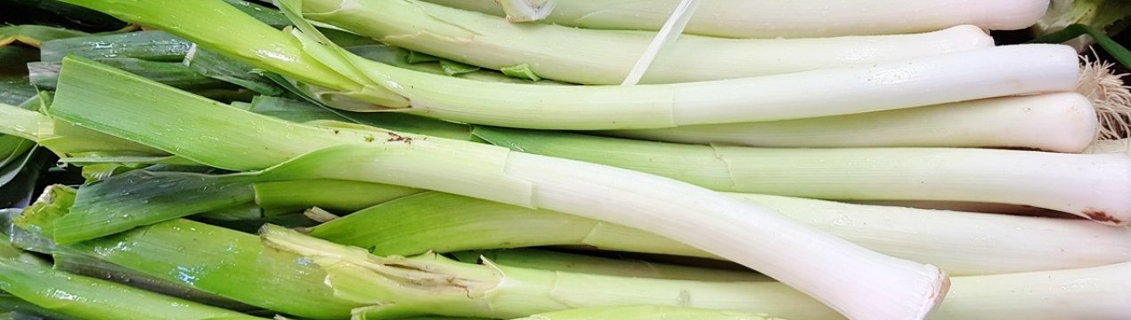 Російські фермери перетримали вітчизняний цибулю в овочесховищах