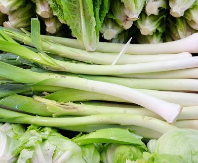 Російські фермери перетримали вітчизняний цибулю в овочесховищах