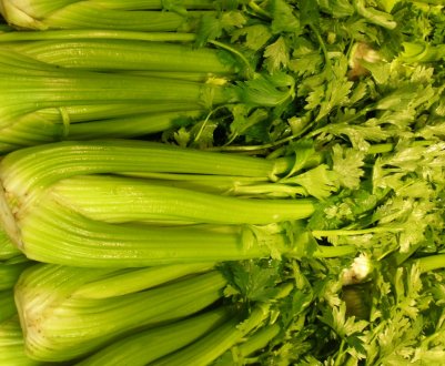 На ринок України не допущений заражений селера