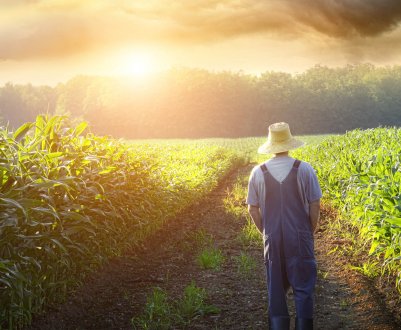 В Ірландії самогубства серед сільських жителів становлять серйозну проблему