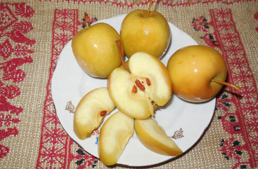 Мочені яблука Мочені яблука