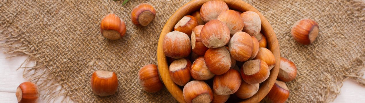 Серед осетинських гір зазеленіють фундукові гаї нового покоління