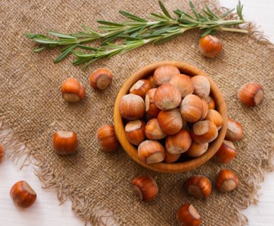 Серед осетинських гір зазеленіють фундукові гаї нового покоління