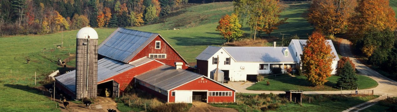 Українські фермери змушені створювати загони самодопомоги, щоб захиститися від рейдерів