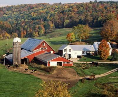 Українські фермери змушені створювати загони самодопомоги, щоб захиститися від рейдерів