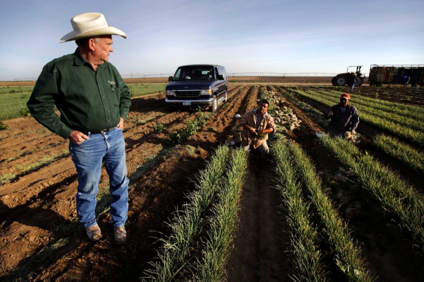 В Ірландії самогубства серед сільських жителів становлять серйозну проблему