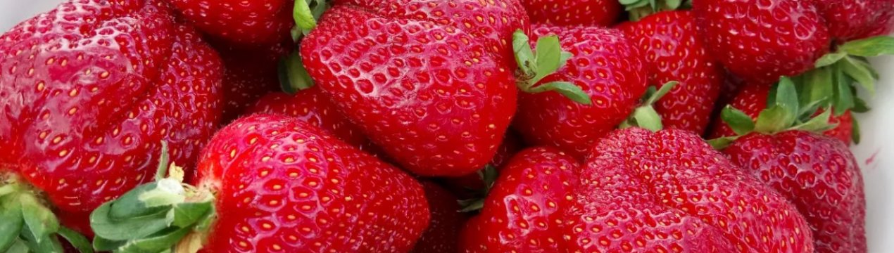 Пропозиція полуниці на ринках Західної України в 2,5 рази менше, ніж у минулому році