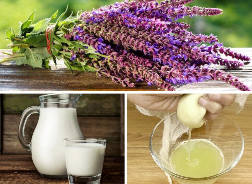 Молоко з цибулею і шавлії