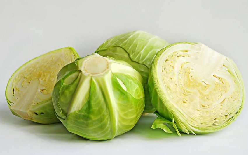 Капуста для засолювання Капуста для засолювання