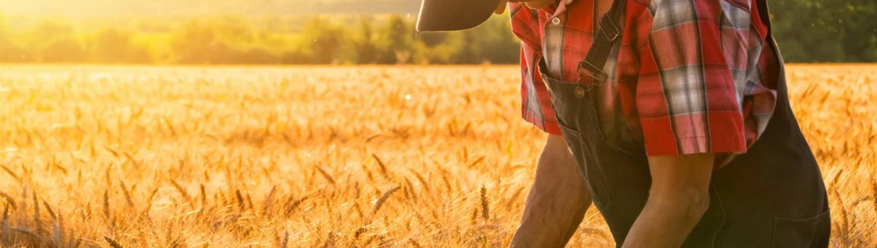 Початківців башкирських фермерів «підженуть» мільйонами рублів