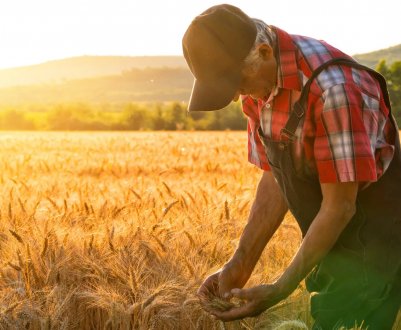 Початківців башкирських фермерів «підженуть» мільйонами рублів