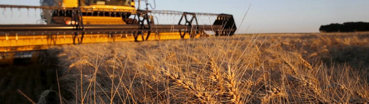 Кубанські аграрії досягли посівного фінішу