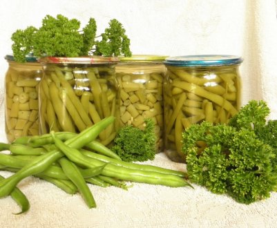 Консервація стручкової квасолі