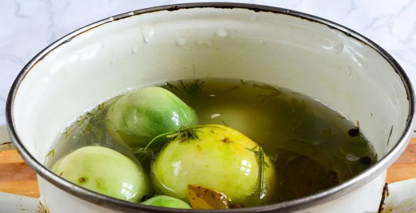 Засолювання бурих помідорів в кастрюле Засолювання бурих помідорів в кастрюле