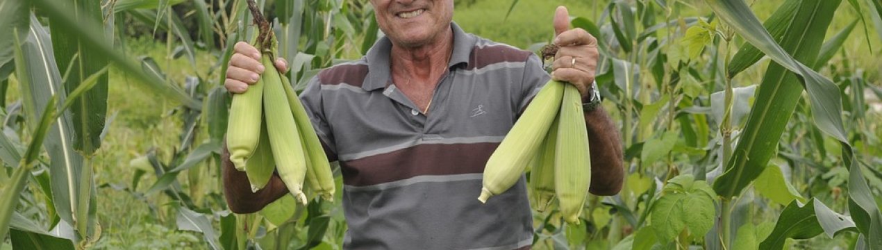 Мінагропрод пояснив, чому в Україні зростає кількість фермерів