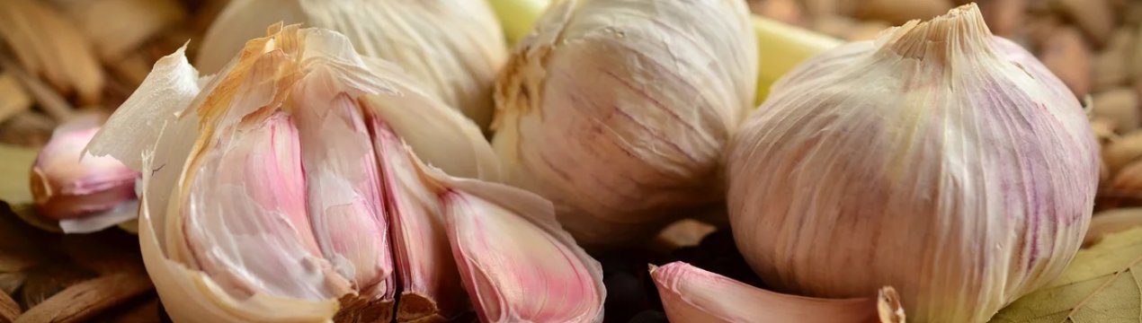 Кому війна, а кому прибутку: американські виробники часнику при непоганих барышах