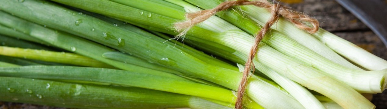 Засолювання зеленої цибулі на зиму в банках