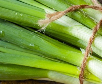 Засолювання зеленої цибулі на зиму в банках