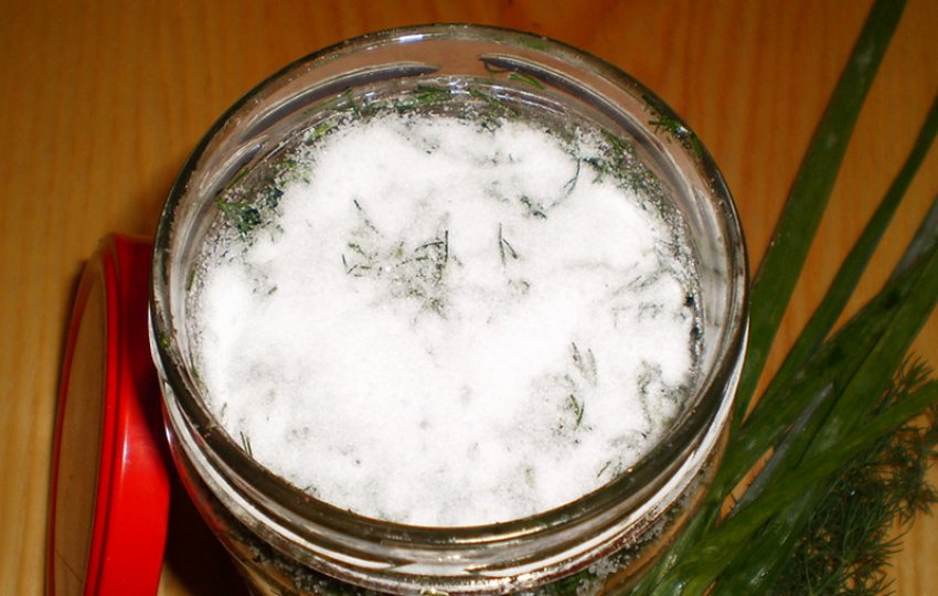 Зелена цибуля на зиму Зелена цибуля на зиму